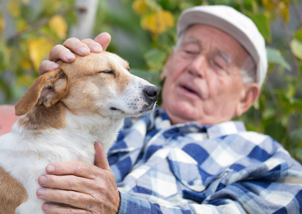 Wie Therapiehunde bei Demenz helfen