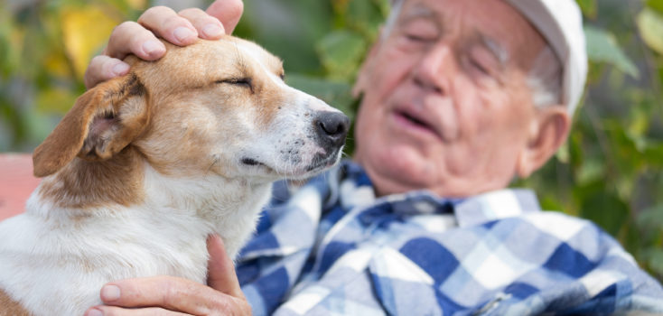 Wie Therapiehunde bei Demenz helfen