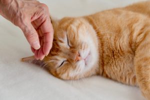 Was Menschen mit Demenz glücklich macht